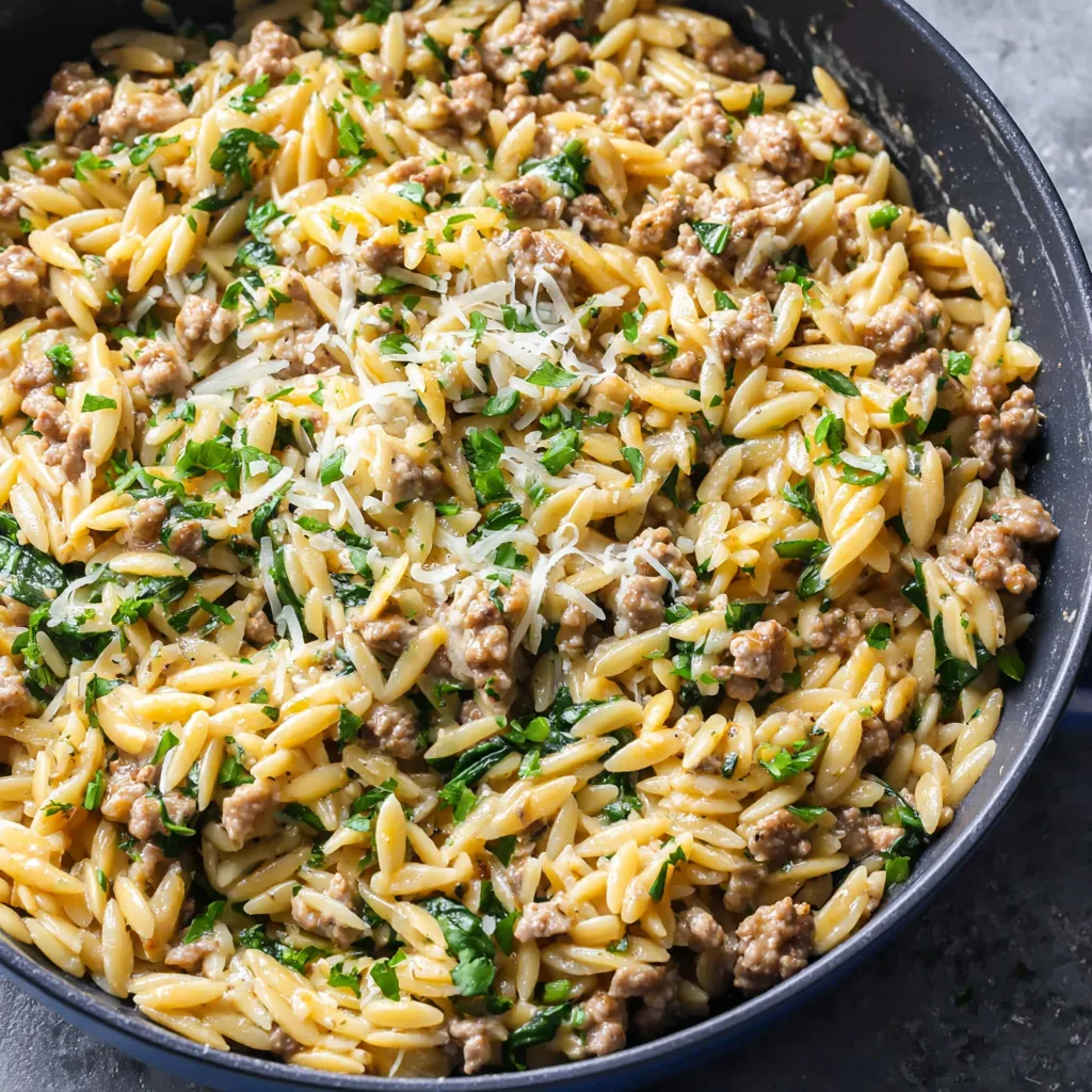 Close-up shot of a vibrant bowl of Ground Turkey Orzo, showcasing the dish's texture and ingredients.